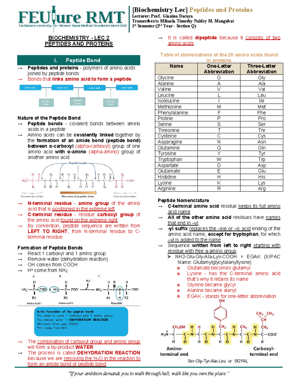 Biochem 2nd Year Lec 02: Peptide Bonds, Structures & Functions - Studocu