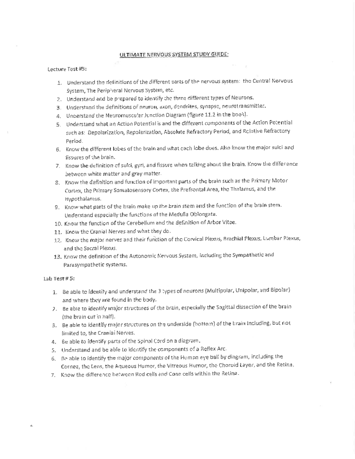 Nervous System Study Guide: Key Concepts and Functions - Studocu