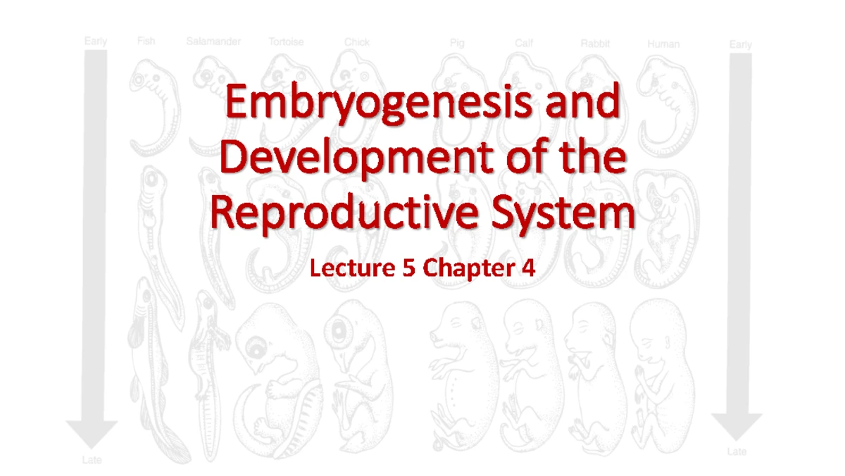 Lecture 7 - reproduction 1 - Reproduction Definition: the production of ...