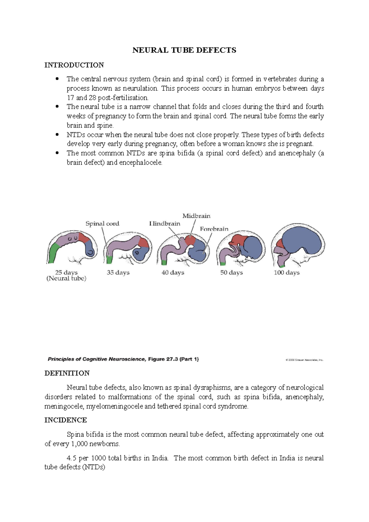 Neural tube defects - NEURAL TUBE DEFECTS INTRODUCTION The central ...