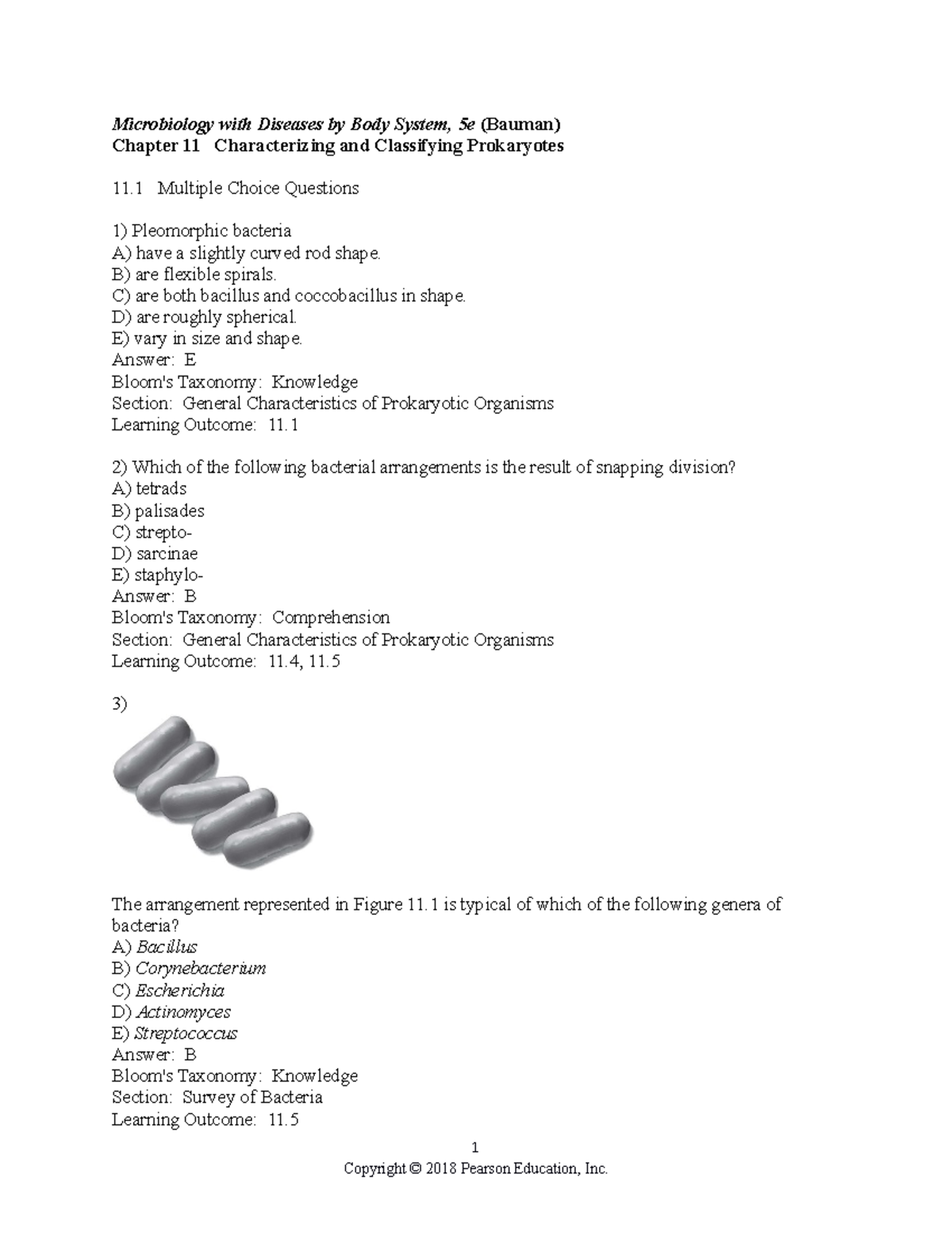 Chapter 11 Study Guide: Prokaryotes Classification & Characteristics ...