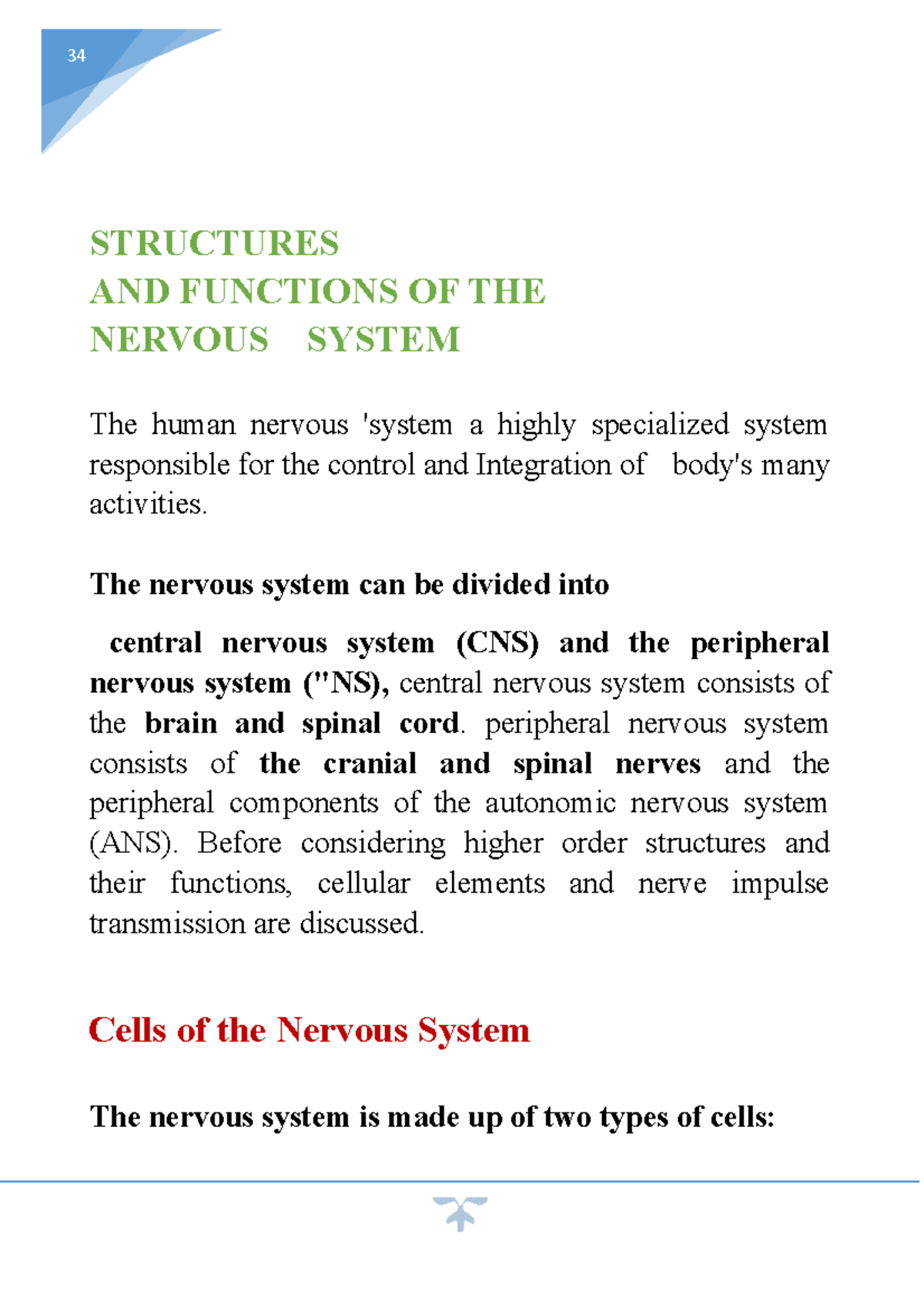 Nervous System Structure & Function Overview (ANAT 101) - Studocu