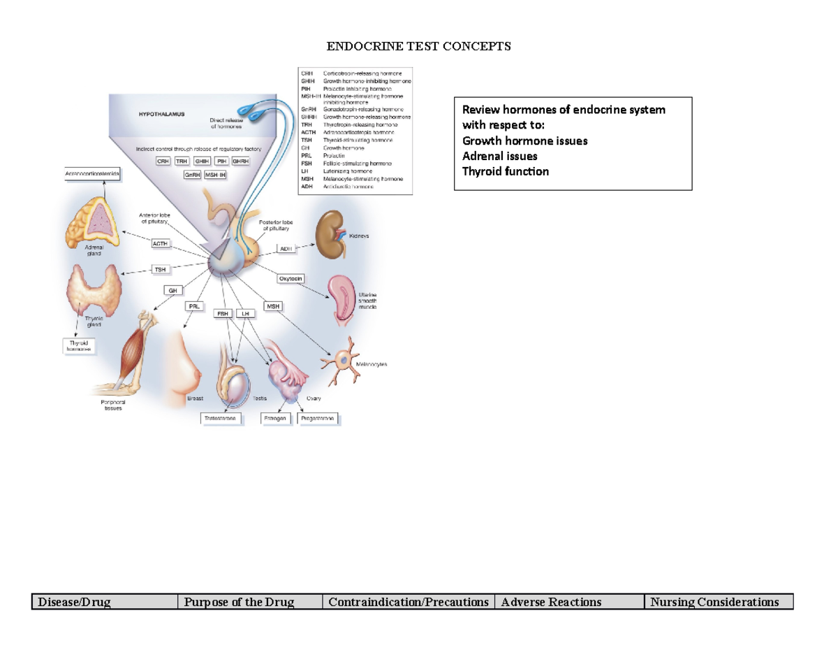 Endocrine TEST Concepts - ENDOCRINE TEST CONCEPTS Disease/Drug Purpose ...