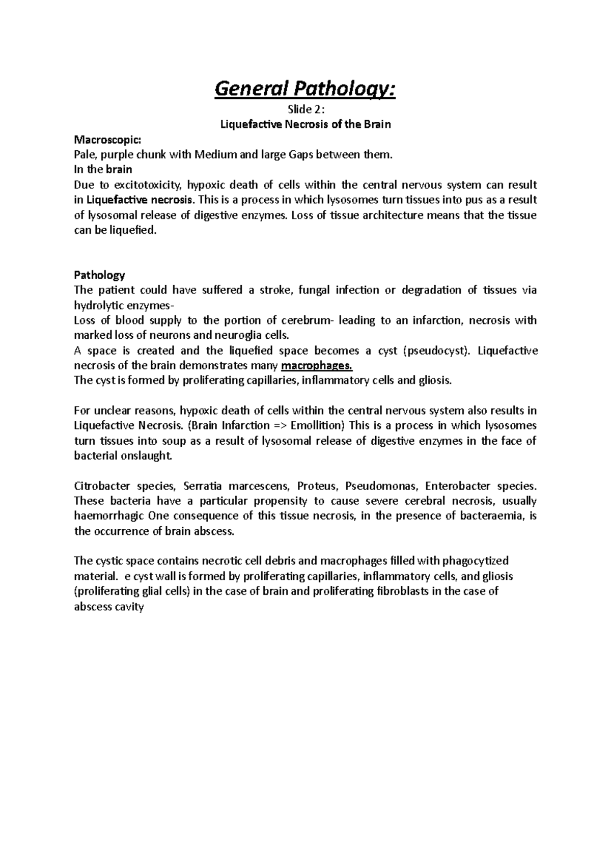 Master Plan Patho - Practical Slides on Key Pathology Cases - Studocu
