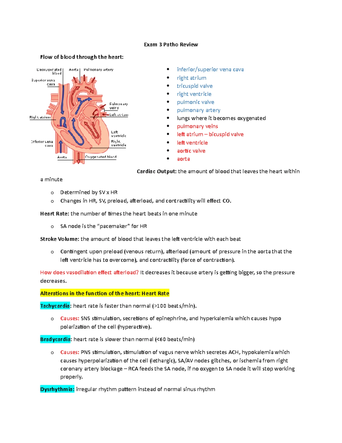 Patho Exam 3 Review - Exam 3 Patho Review Flow of blood through the ...