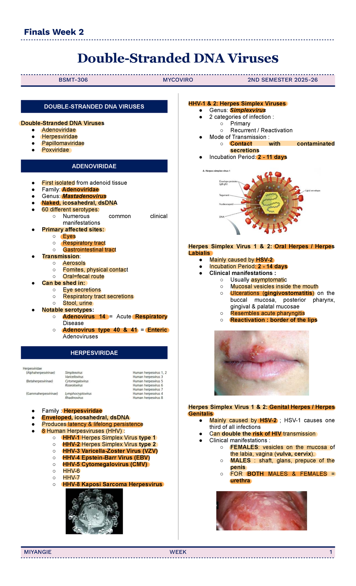 Finals Week 2: Double-Stranded DNA Viruses MYCOVIRO 2ND SEMESTER