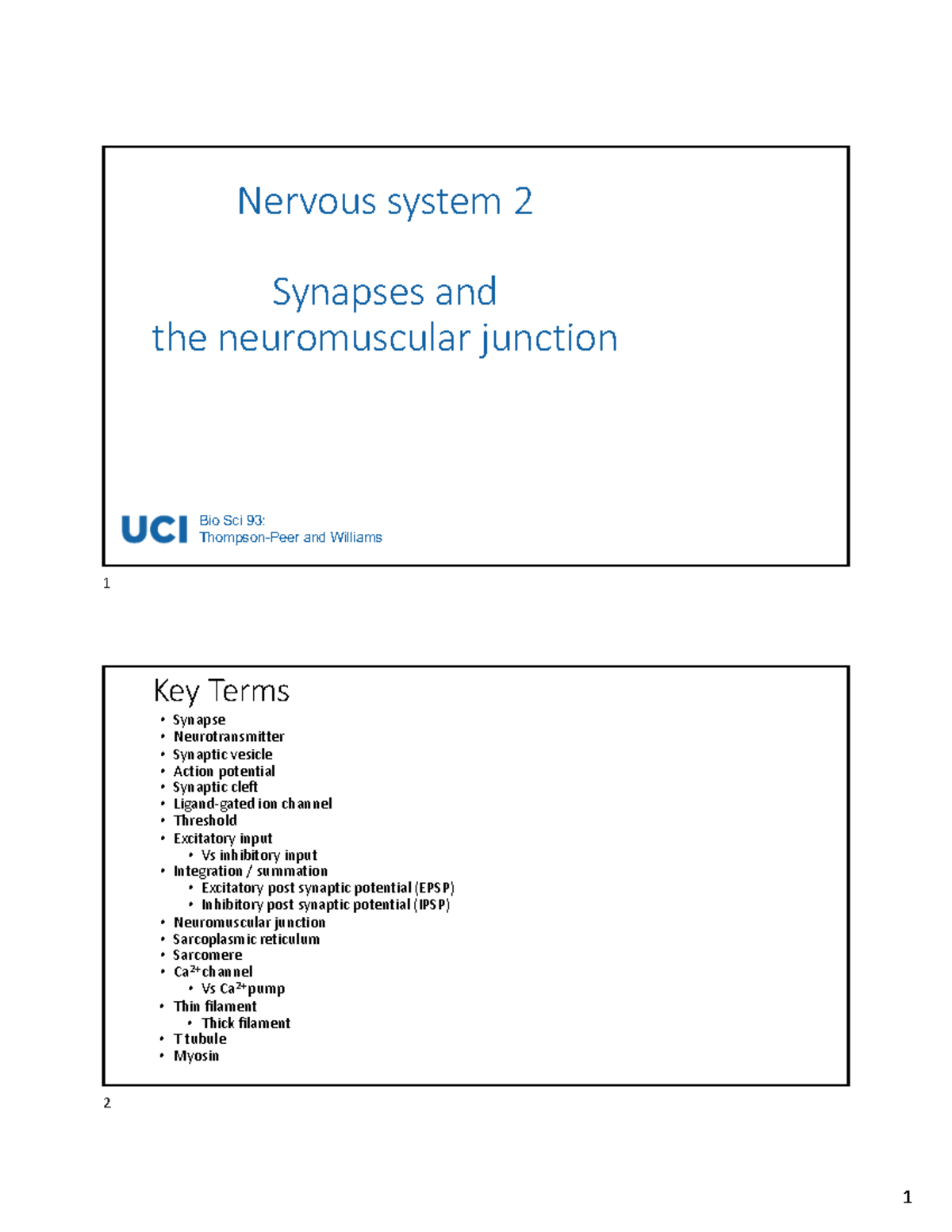 Bio Sci 93: Basics of Synapses and Neuromuscular Junctions Notes - Studocu