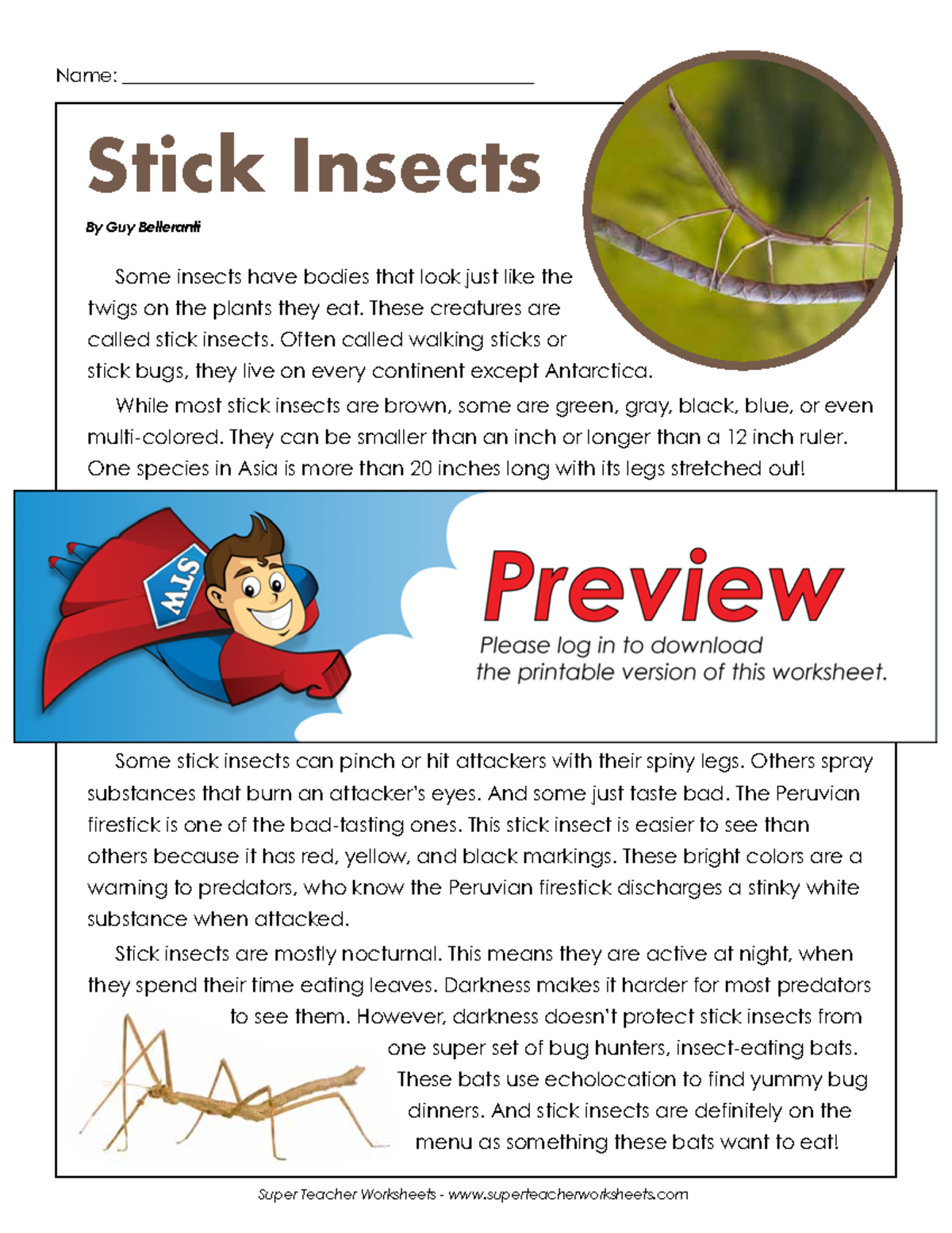Stick Insects Overview and Quiz - STICK 101 - Studocu