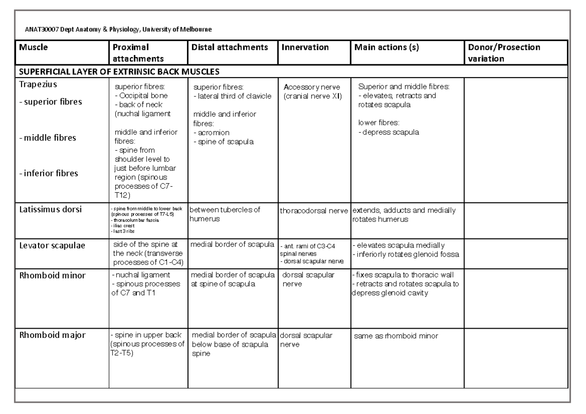 Back Attachments Table - Anatomy & Physiology (Dept Anatomy Physiology ...