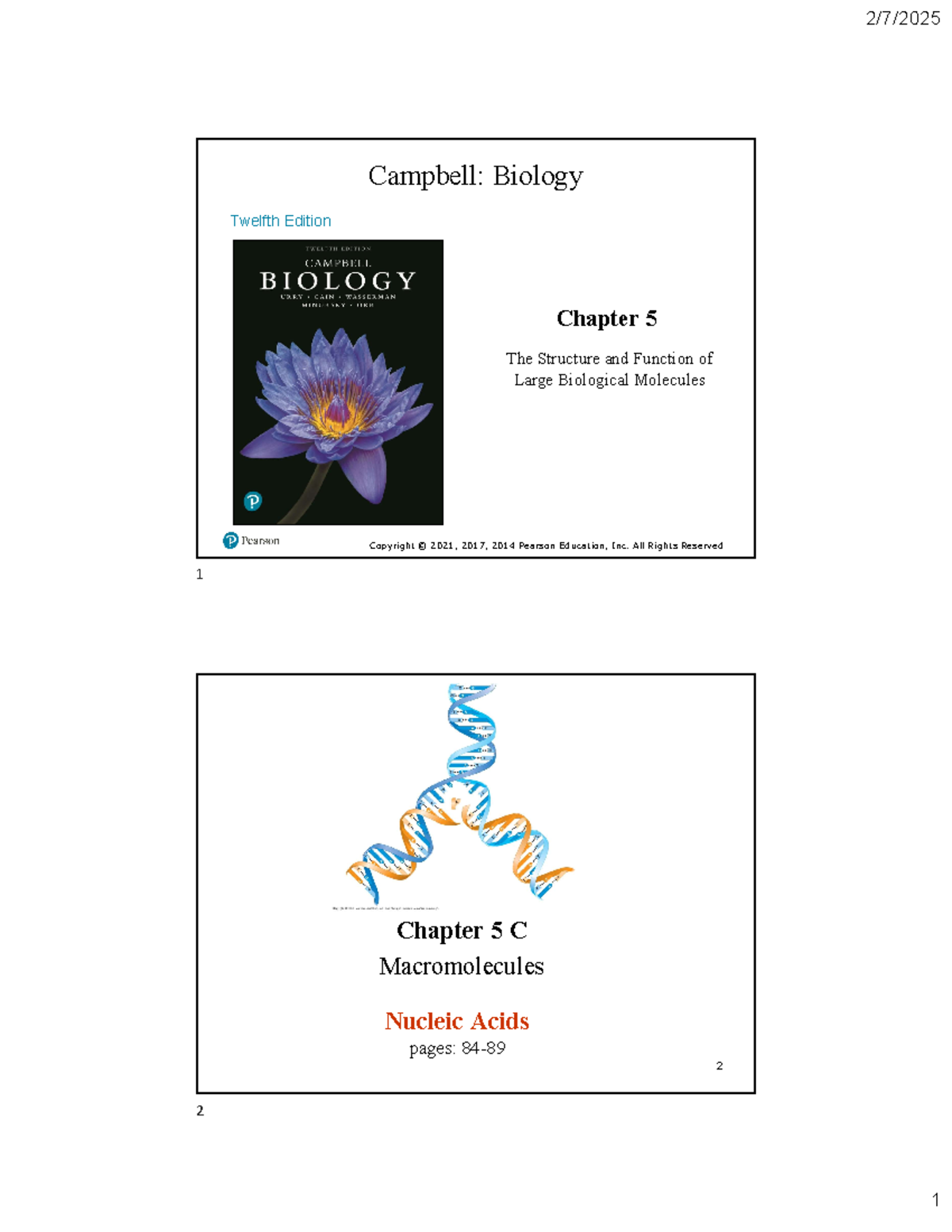 Biology 02 Spring 2025: Chapter 5 - Structure & Function of Nucleic ...
