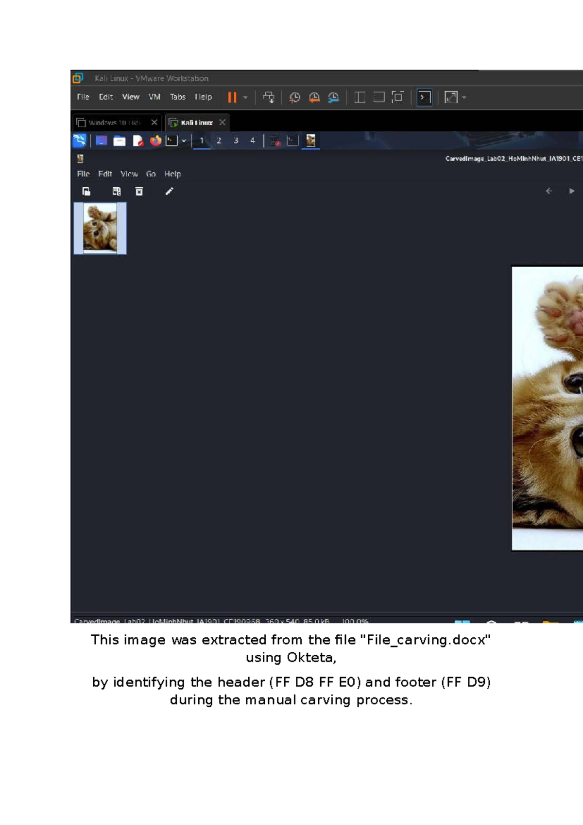 FRS301 Lab02: File Header/Footer Identification in Forensics - Studocu