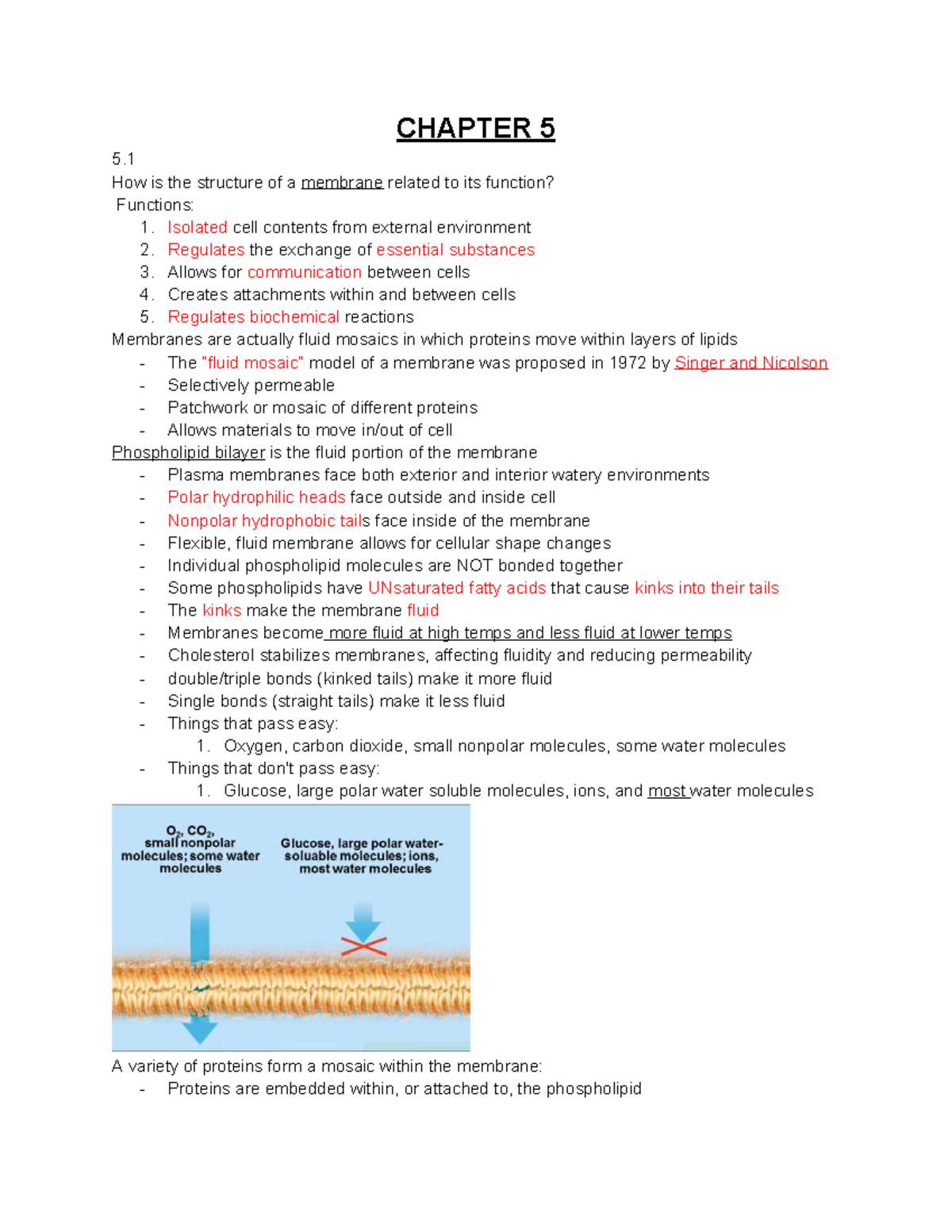 BIO 101: Exam 2 Lecture Notes on Membrane Structure & Function - Studocu