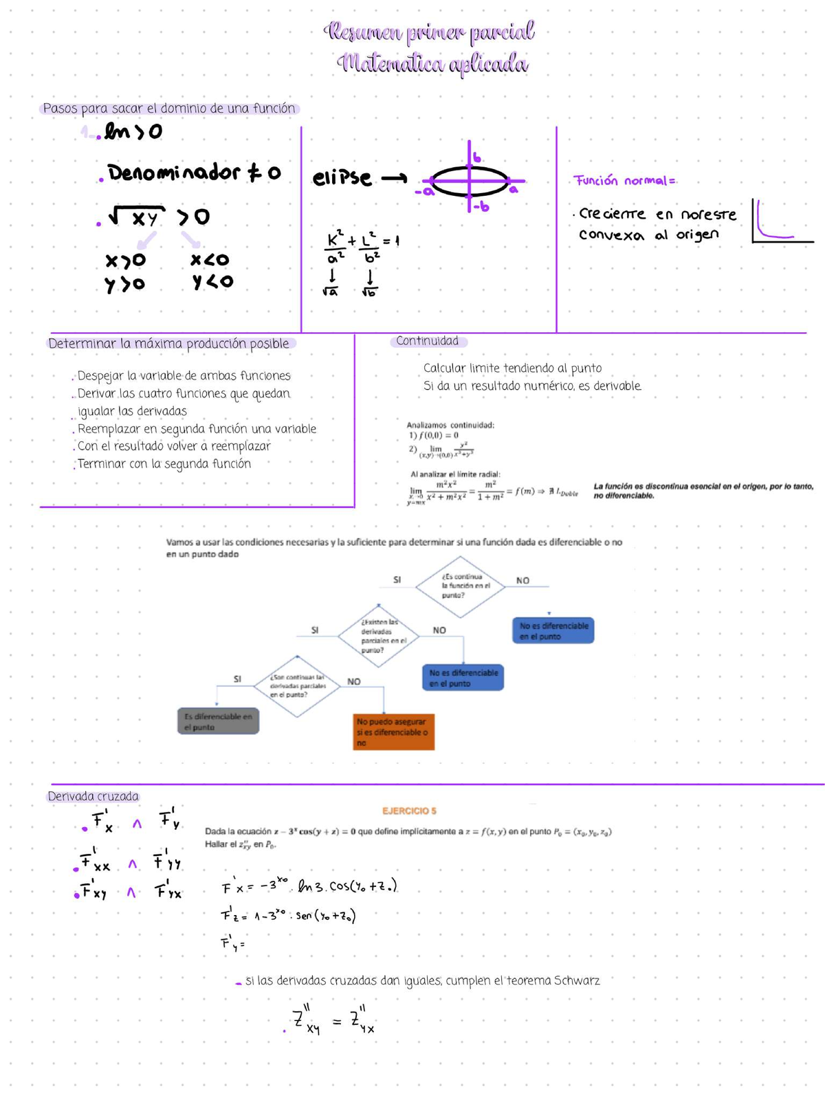 Resumen del Primer Parcial de Matemática Aplicada (MAT101) - Document Preview