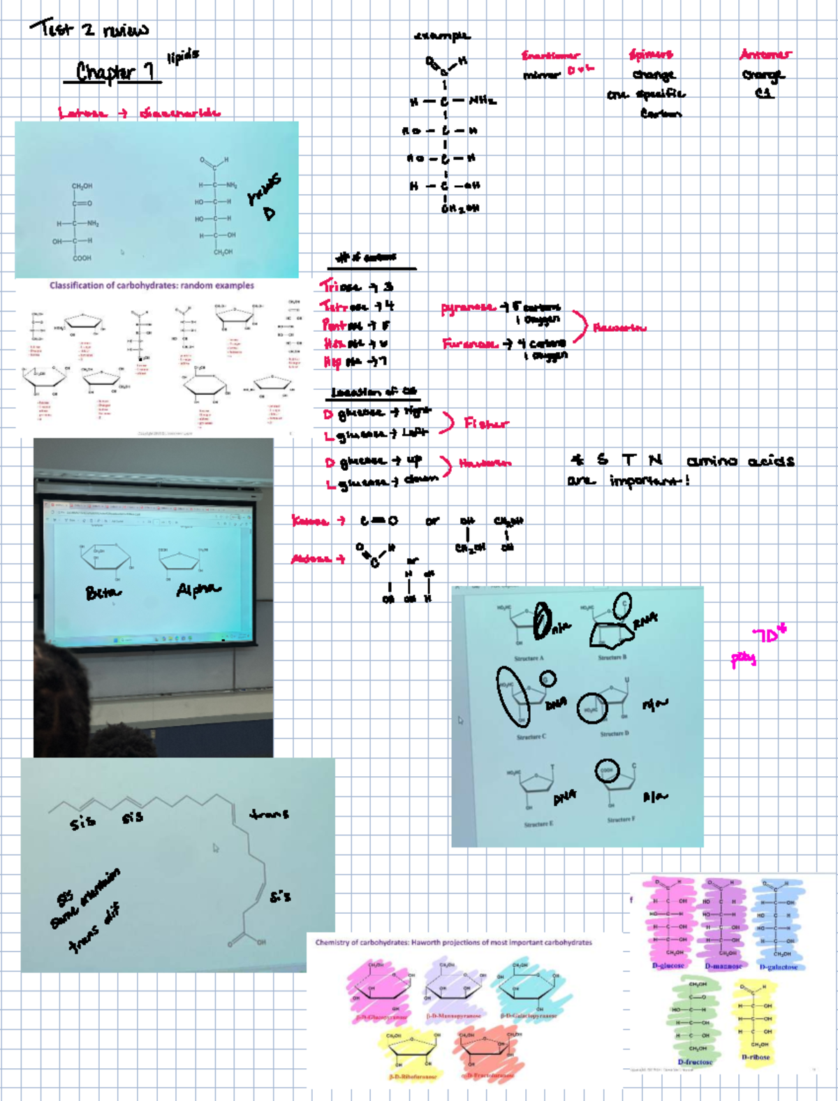 Chapter 8 & 10 Review: Lipids and DNA Structure Concepts - Studocu