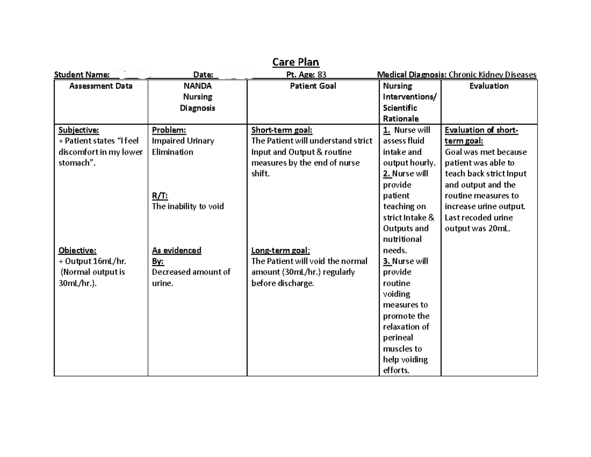 ICLP Template - NURSING PROGRAM NUR2817C: Nursing Roles Practicum ...