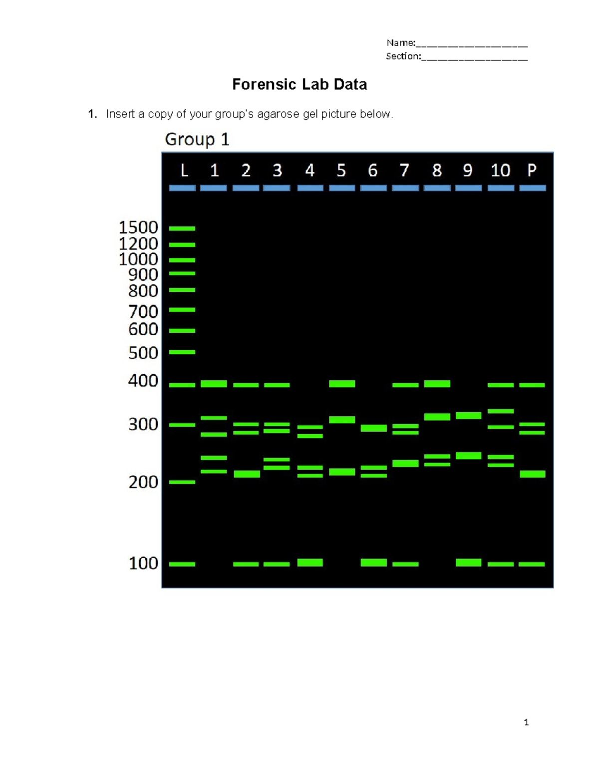 Forensic Biology Bioinformatics II: Lab Protocol & Data Analysis V4.1 ...