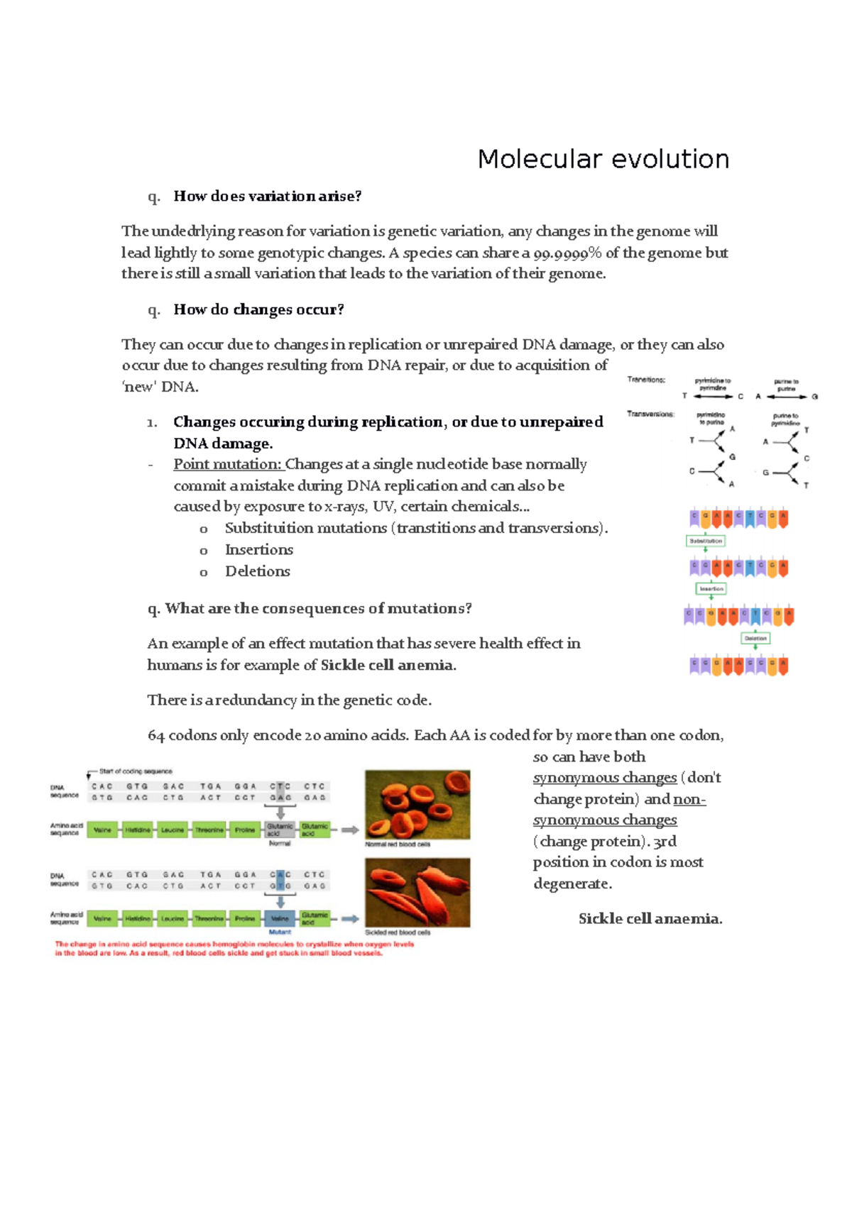2. Molecular evolution. - Molecular evolution q. How does variation ...