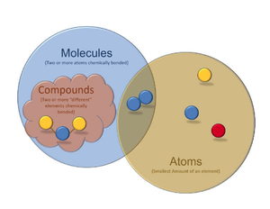 Macromolecules Close Reading Assignment Printand Digital-1 - I’m Dana ...