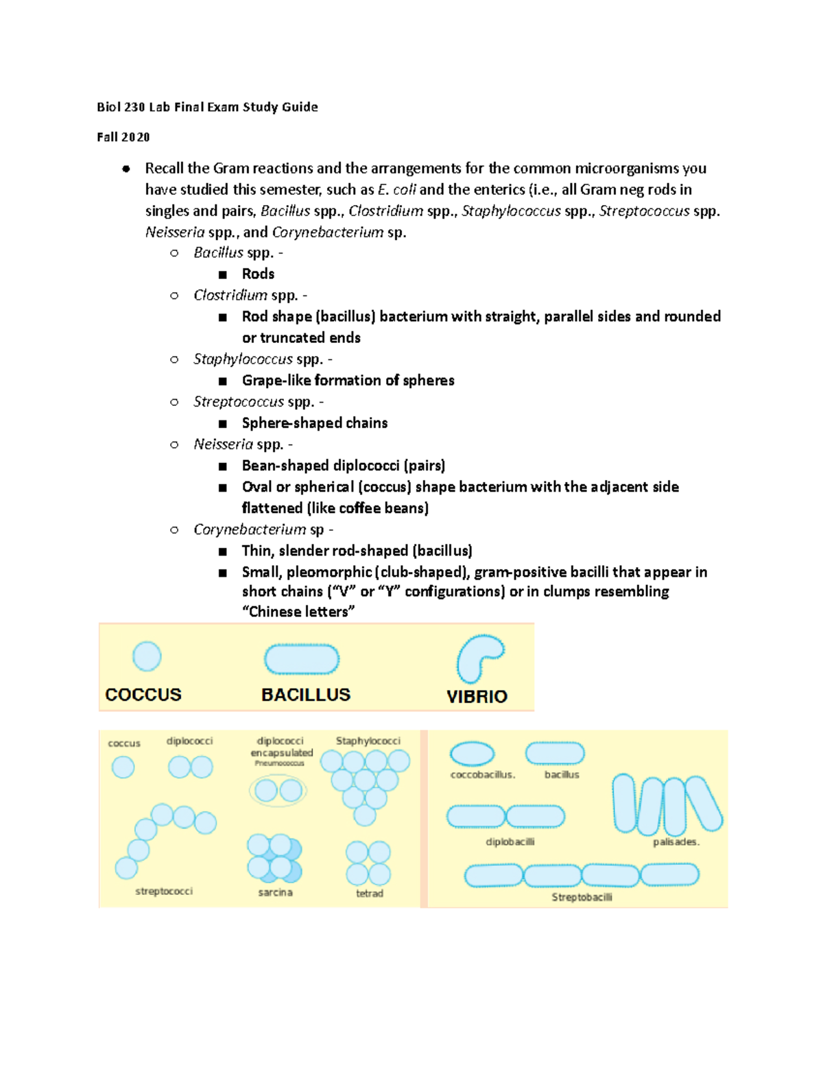 Biol 230 F20 Lab Final Exam Comprehensive Study Guide - Studocu