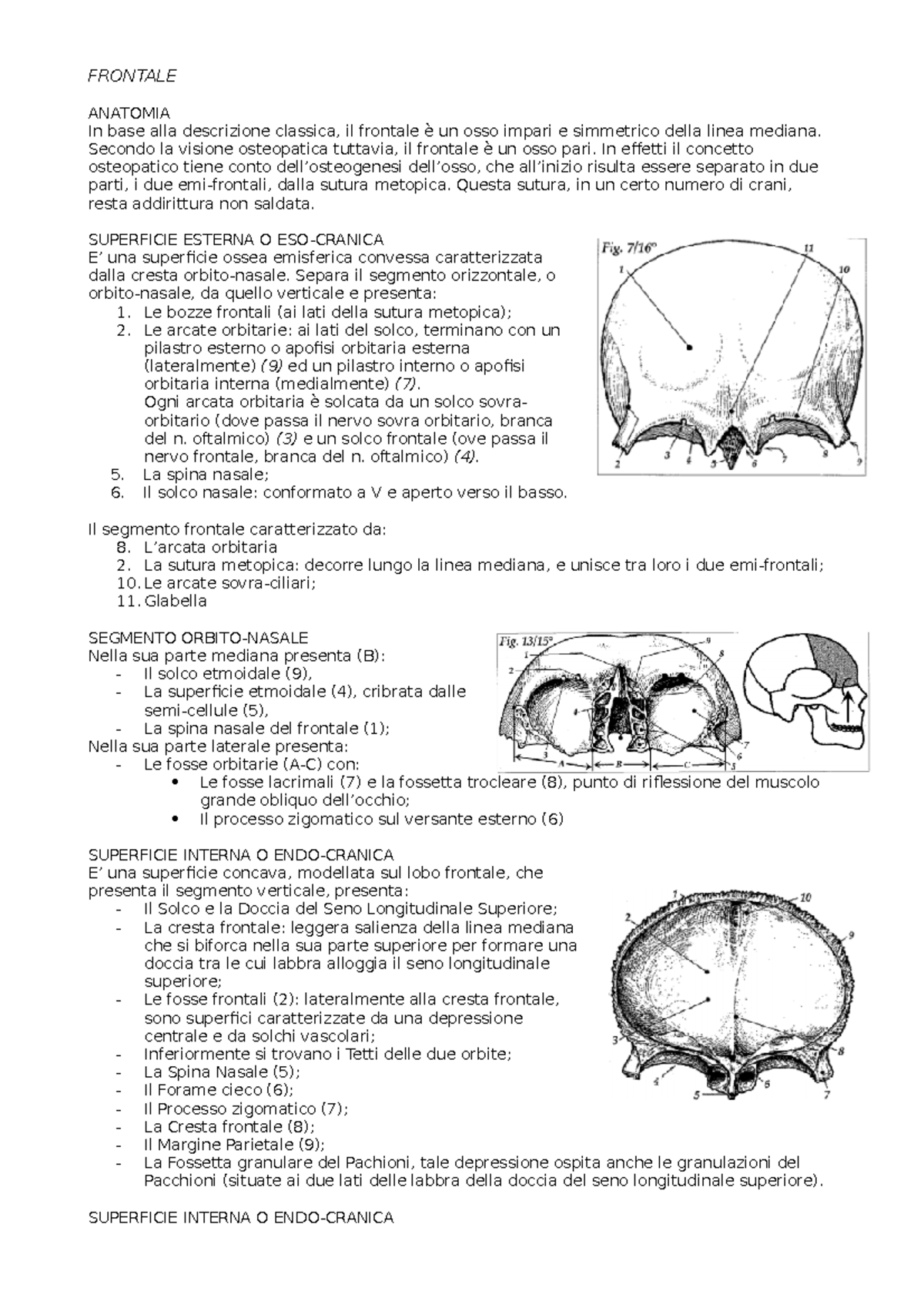 Osteopatia Craniosacrale: Studio Approfondito sul Frontale - Studocu