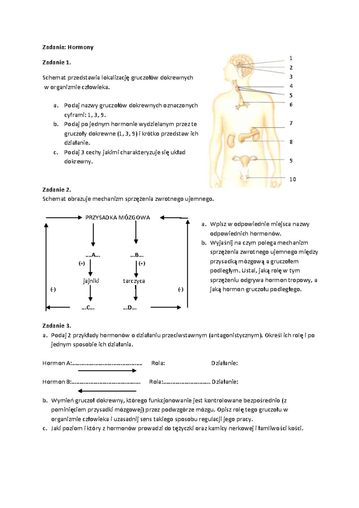 Hormony - zadania - Zadania: Hormony Zadanie 1. Schemat przedstawia