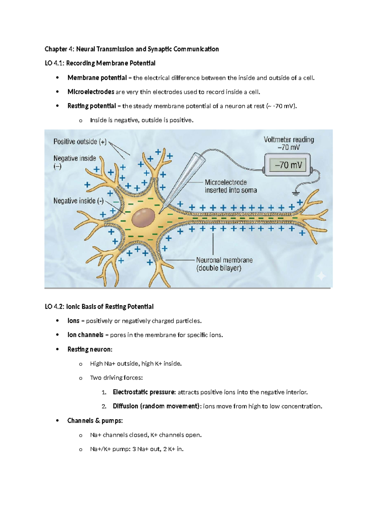 Chapter 4: Neural Transmission & Synaptic Communication Notes - Studocu
