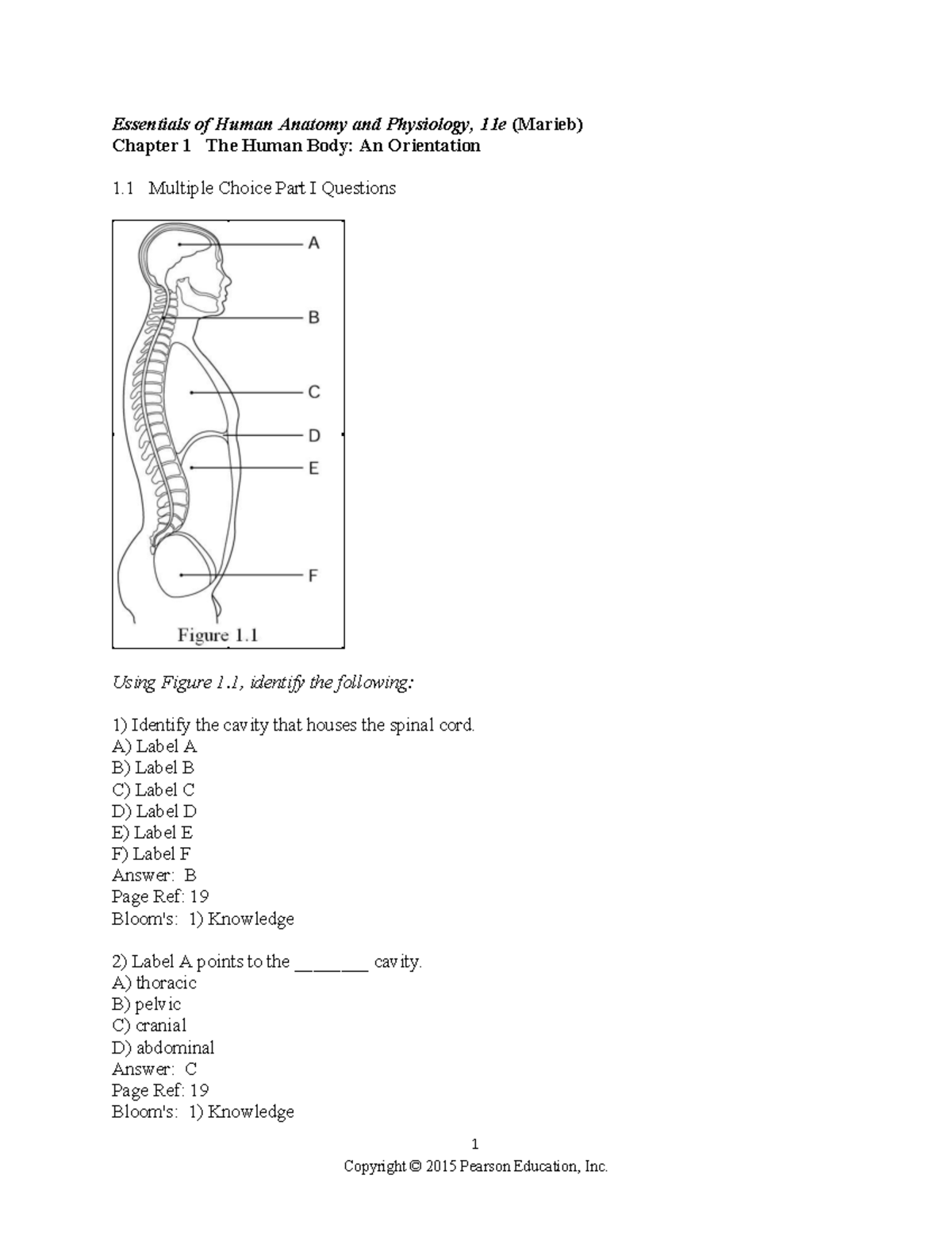 Chapter 1 Test Bank - Essentials of Human Anatomy & Physiology (11e ...