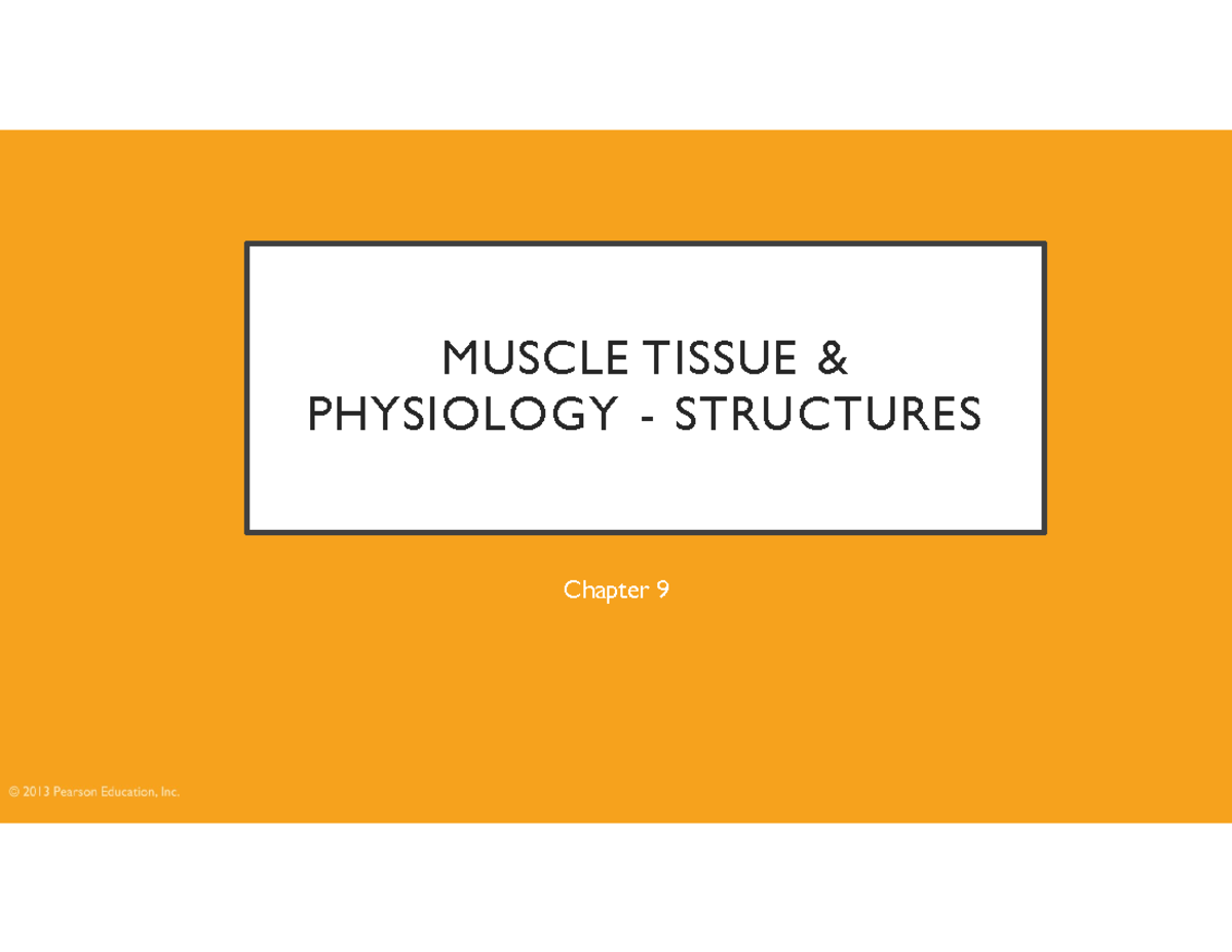 Ch9 Muscle Tissue Physiology Structures - Fall 2021 Overview - Studocu