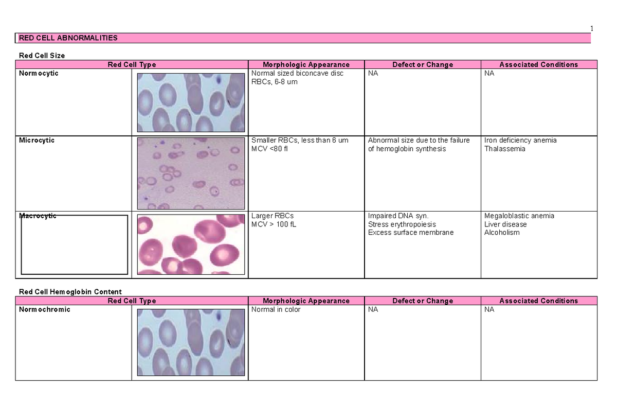 Hema-Reviewer RBC/WBC Abnormalities Notes for CLT 101 - Studocu