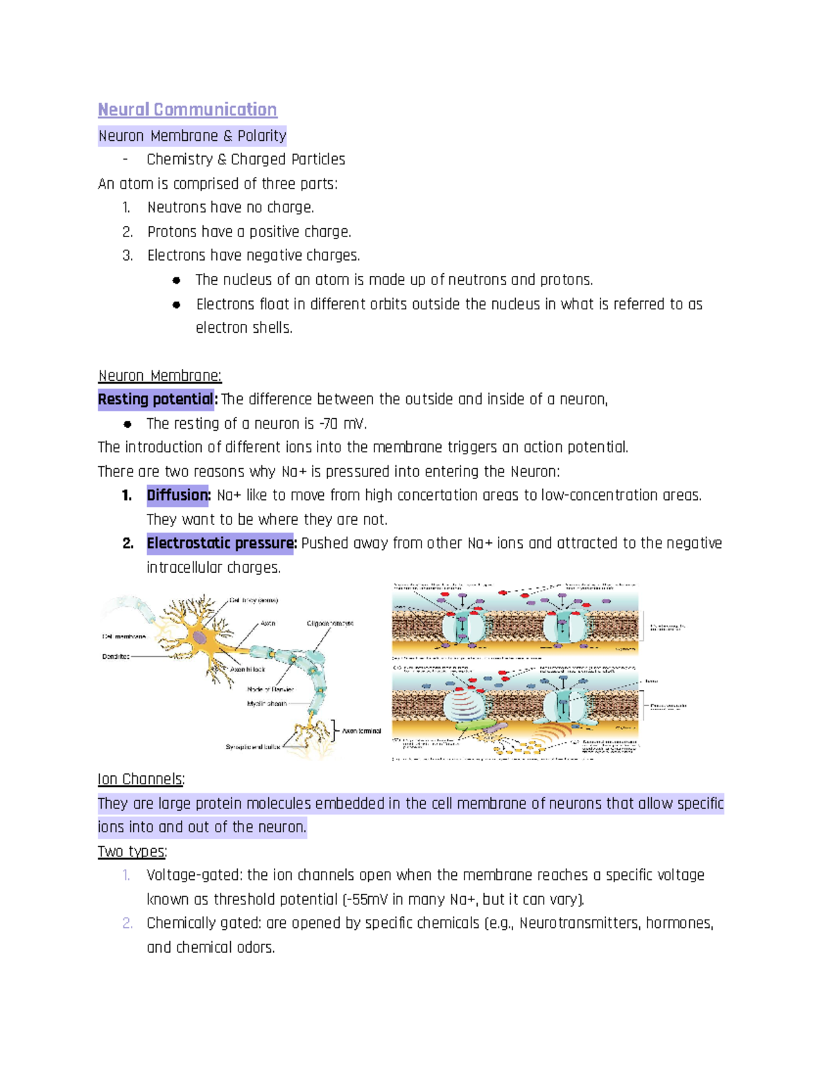 Neural Communication Overview (CH) - Studocu