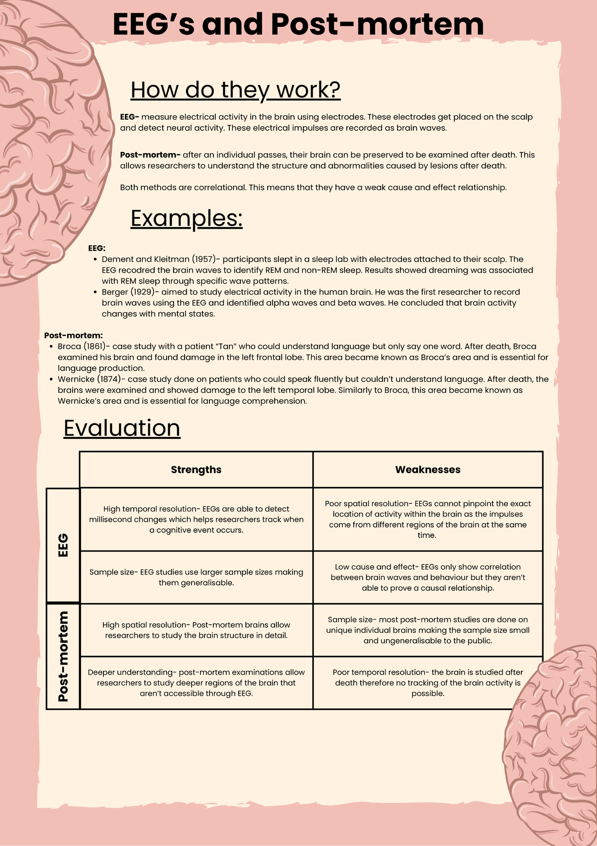 EEG & Post-Mortem Analysis: Understanding Brain Activity - Studocu