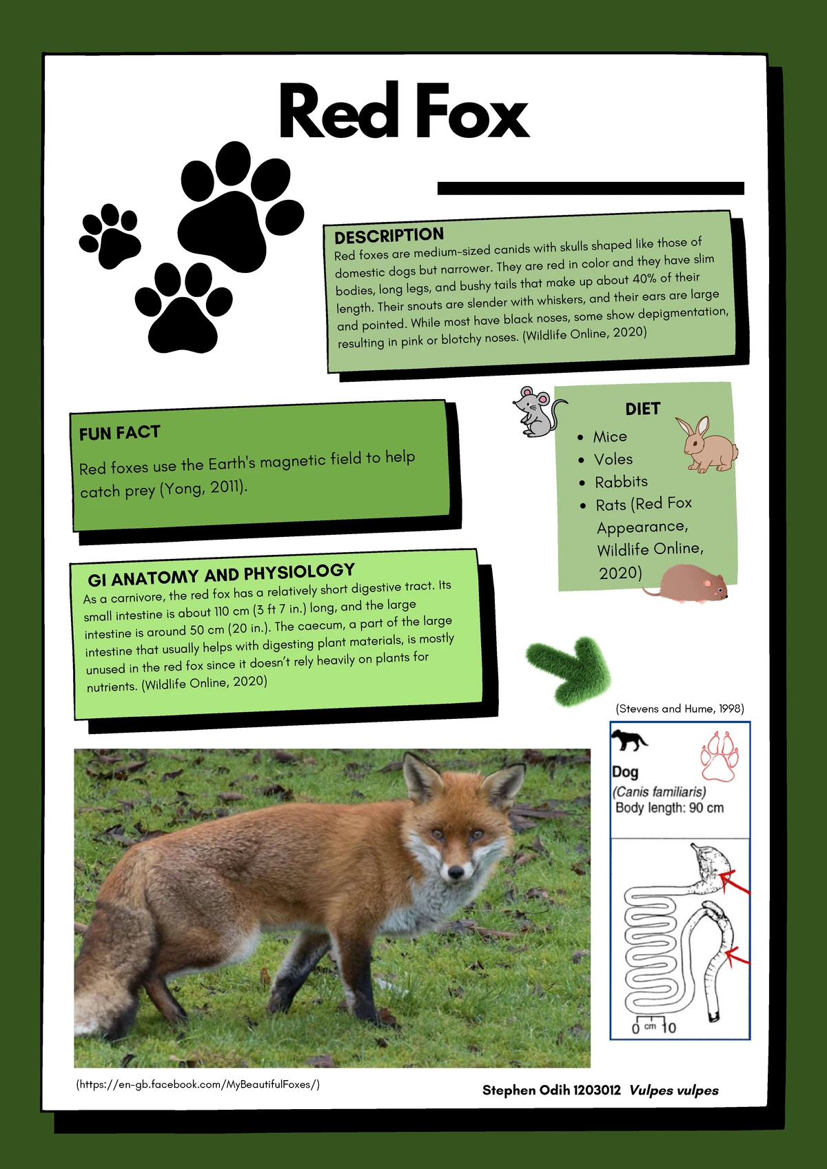 Wildlife Nutrition (Course Code) Midterm Study Notes on Macronutrients ...