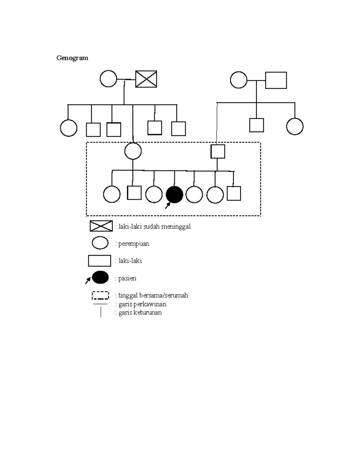 Genogram - Gunakanlah dengan sebaik mungkin - Masyarakat dan Manusia ...