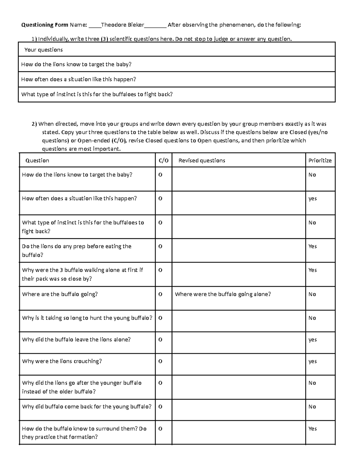 Copy of Questioning Form Africa Unit - Questioning Form Name: Theodore ...