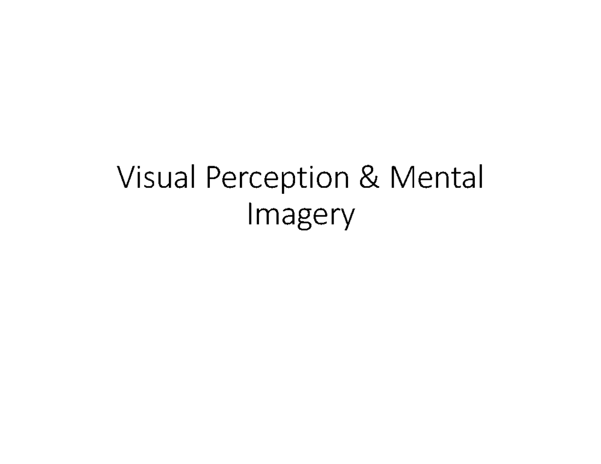 Visual Perception & Mental Imagery: Theories and Insights (PSY 101 ...