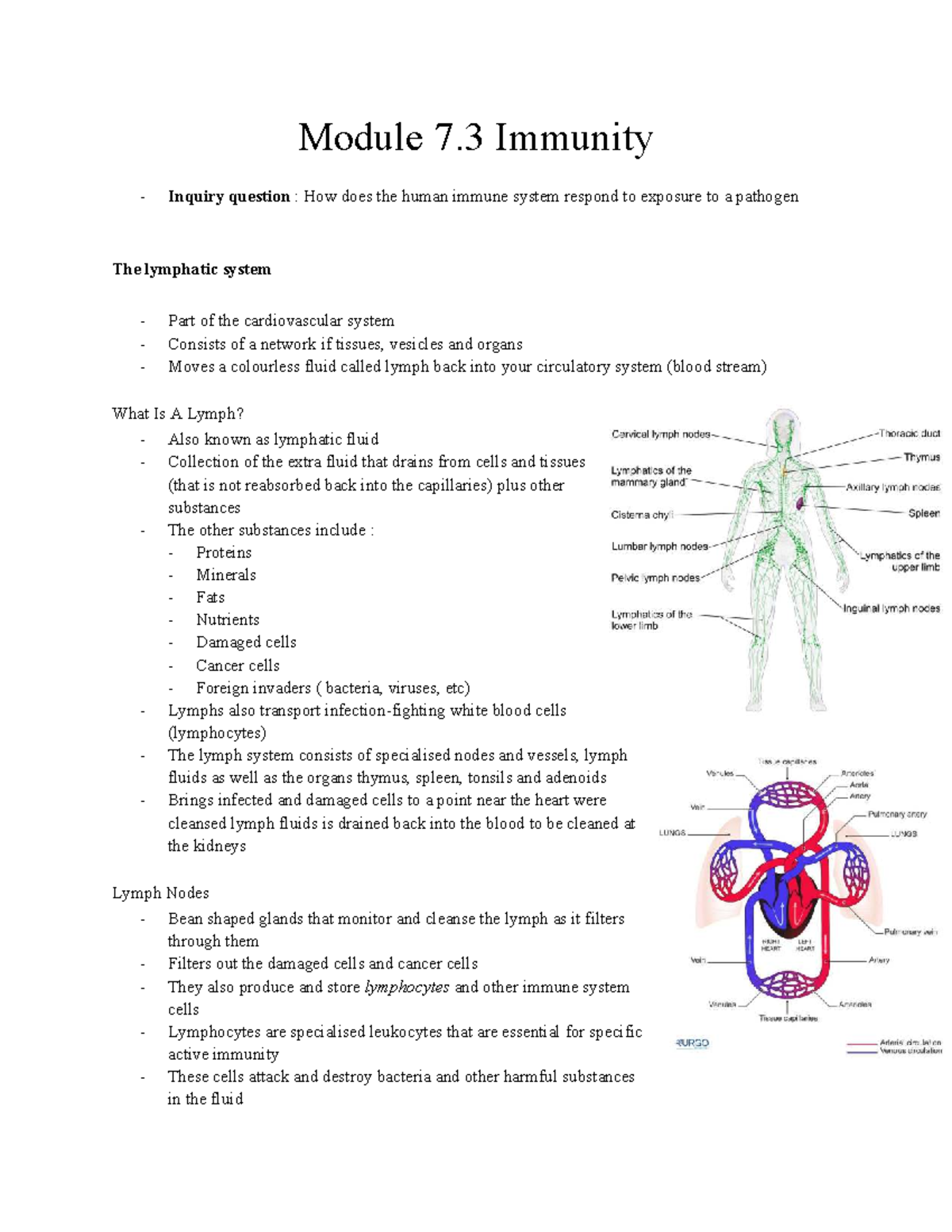 Biology Yr 12: Module 7.3 - Immunity and the Human Immune Response ...