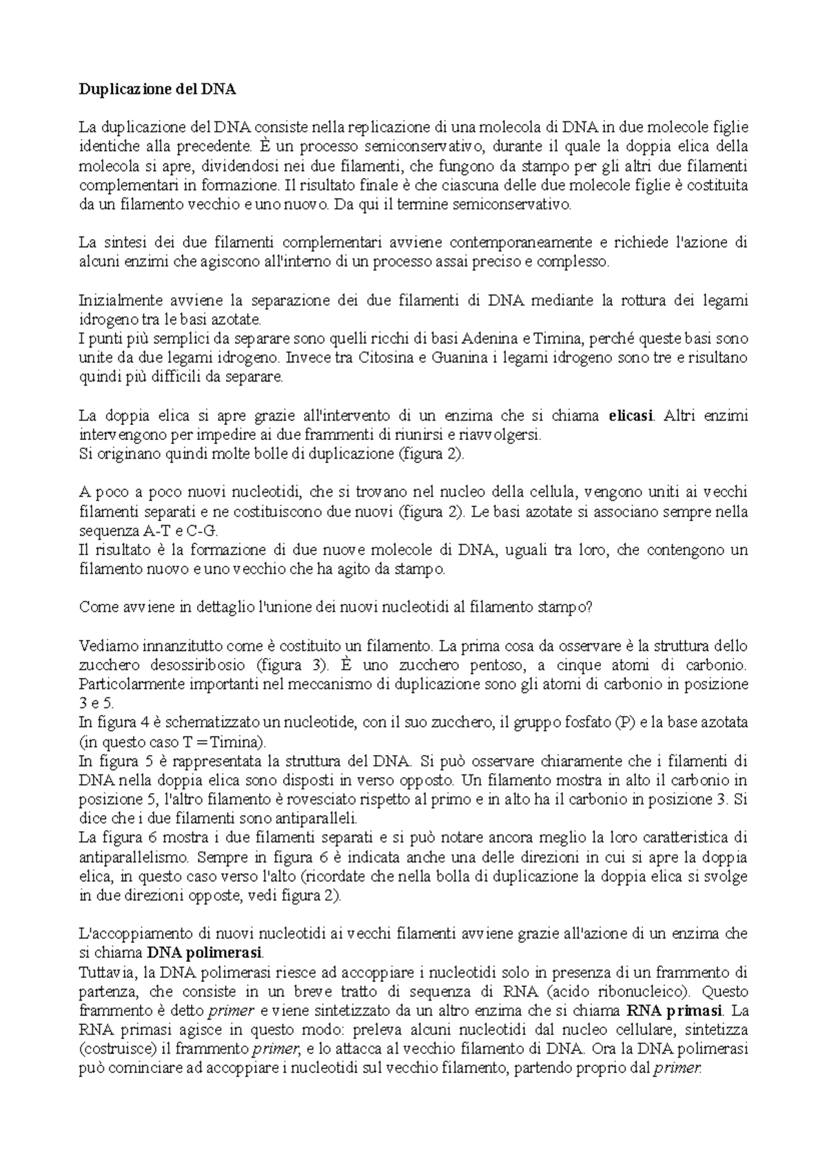 Duplicazione DNA - forza roma - Duplicazione del DNA La duplicazione ...