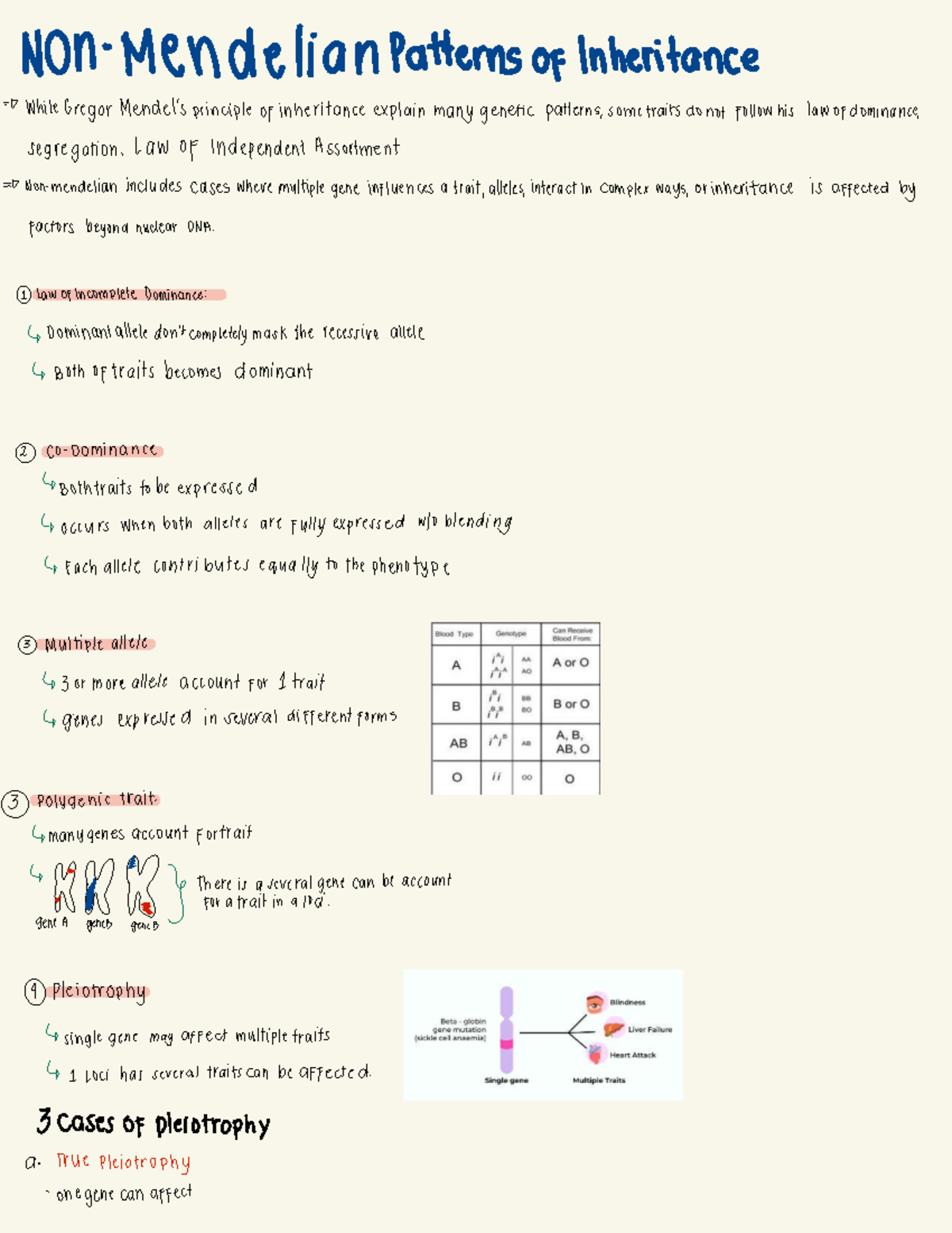 Genetics Lab: Mendelian Inheritance Patterns and Chromosomal Analysis - Document Preview