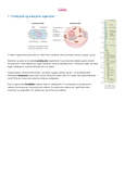 Cellebiologi - Sammendrag av kapittel 5, 6, 9, 10 og 11 i Bios 1