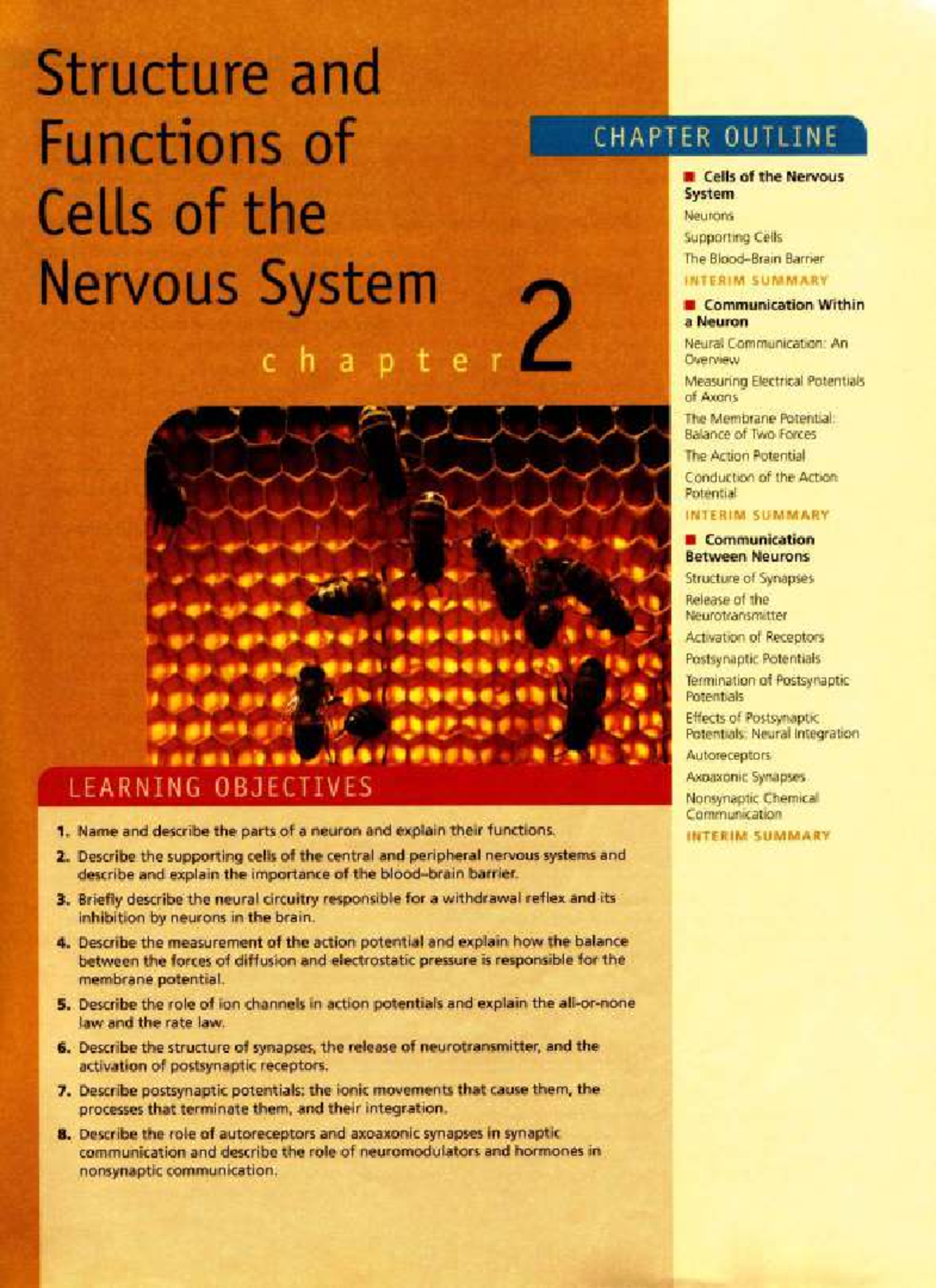 Biopsy Unit 2: Structure & Functions of the Nervous System Notes - Studocu