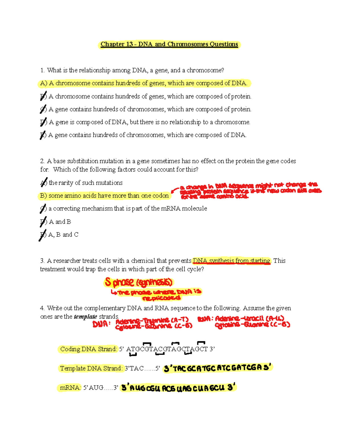 Chapter 13: DNA, Chromosomes, and Cellular Respiration Exam Review F24 ...