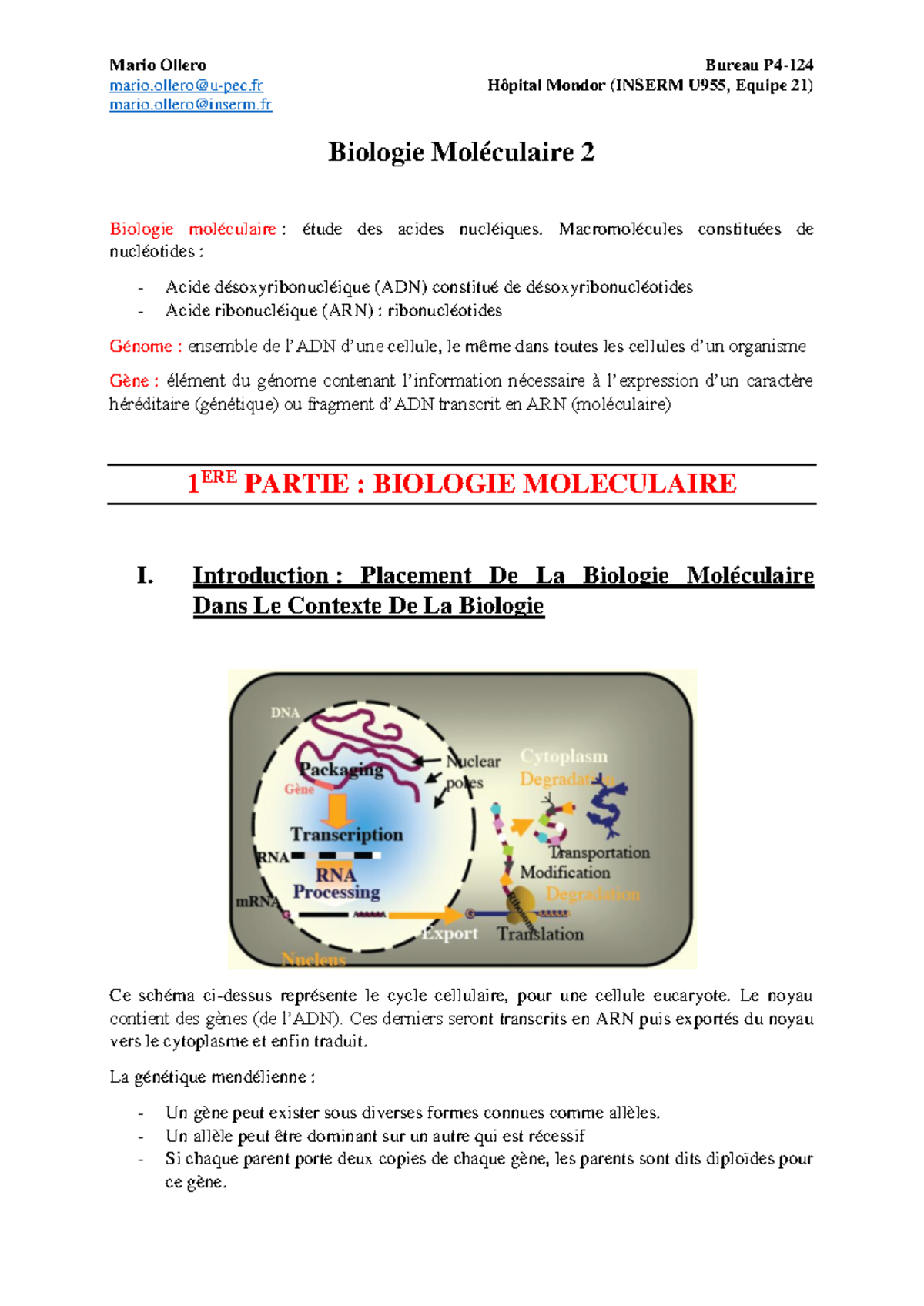 Biologie Moléculaire Cours - Licence Sciences de la Vie et de la Terre ...