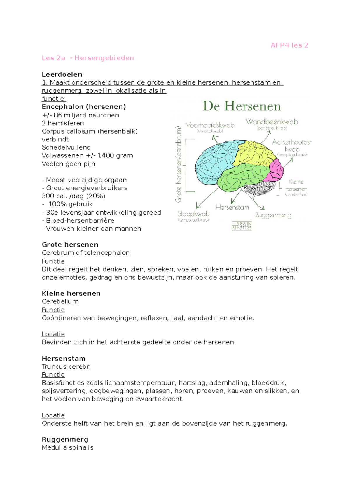 Samenvatting AFP4 Les 2: Hersengebieden en Bewustzijnssystemen ...
