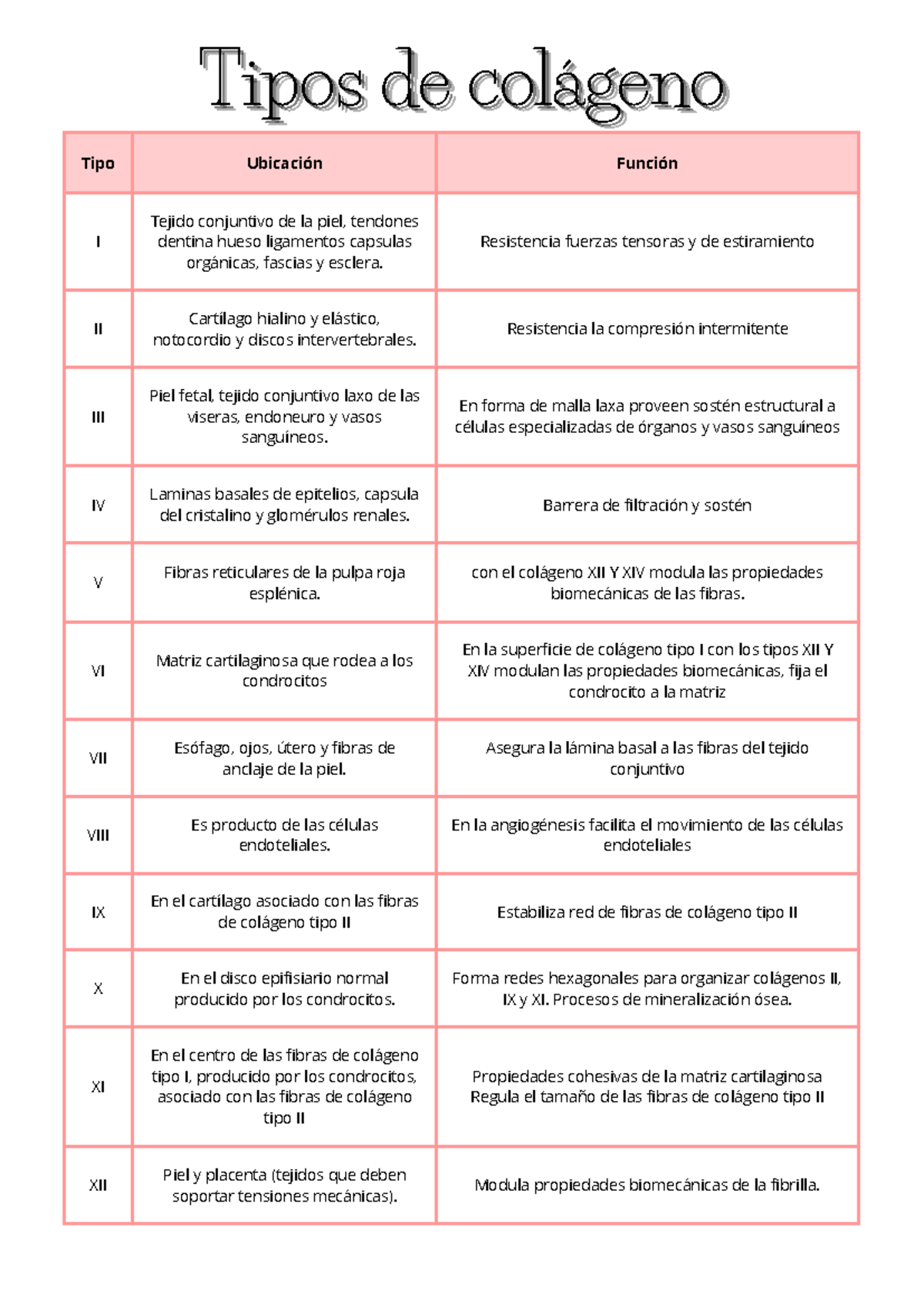 Tipos de colágeno: Funciones y Ubicaciones en Tejidos - Document Preview