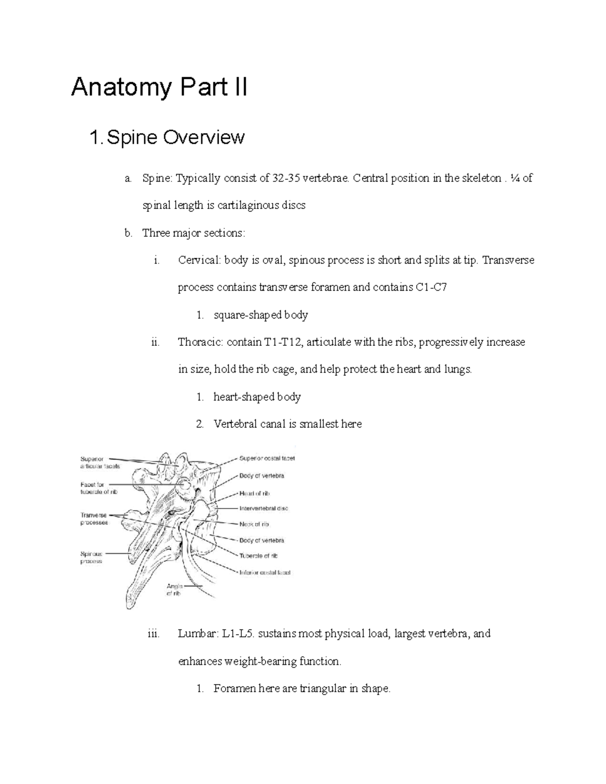 Anatomy Overview Part II: Key Structures & Functions in Human Anatomy ...