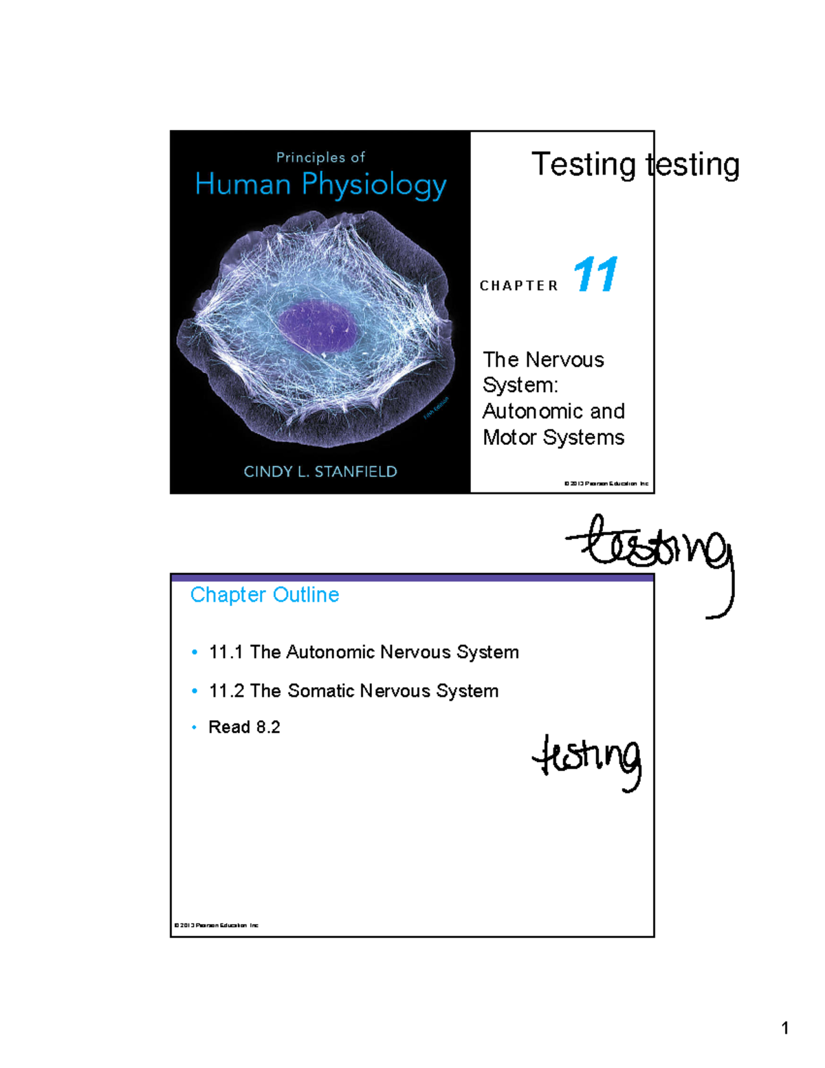 Ch 11 Lecture: Autonomic and Motor Systems Overview - Studocu