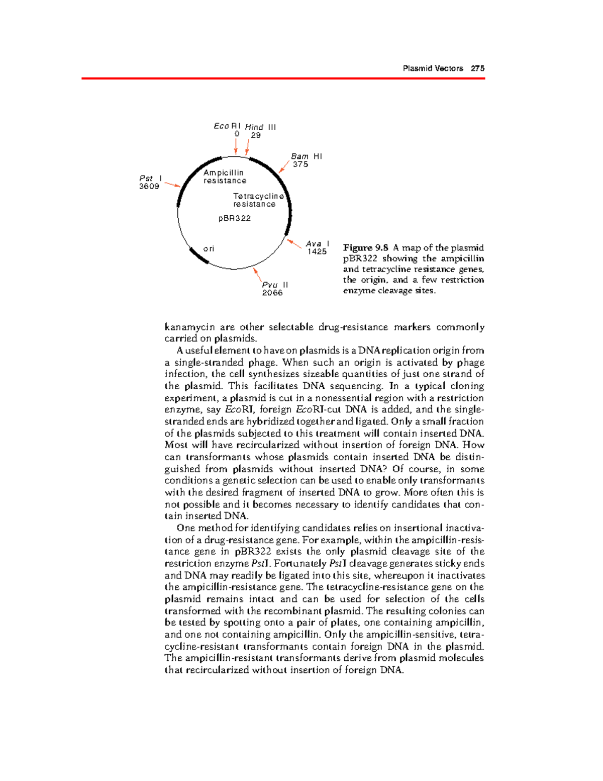 Genetics and Molecular Biology – Part 146: Plasmid Vectors and Cloning ...