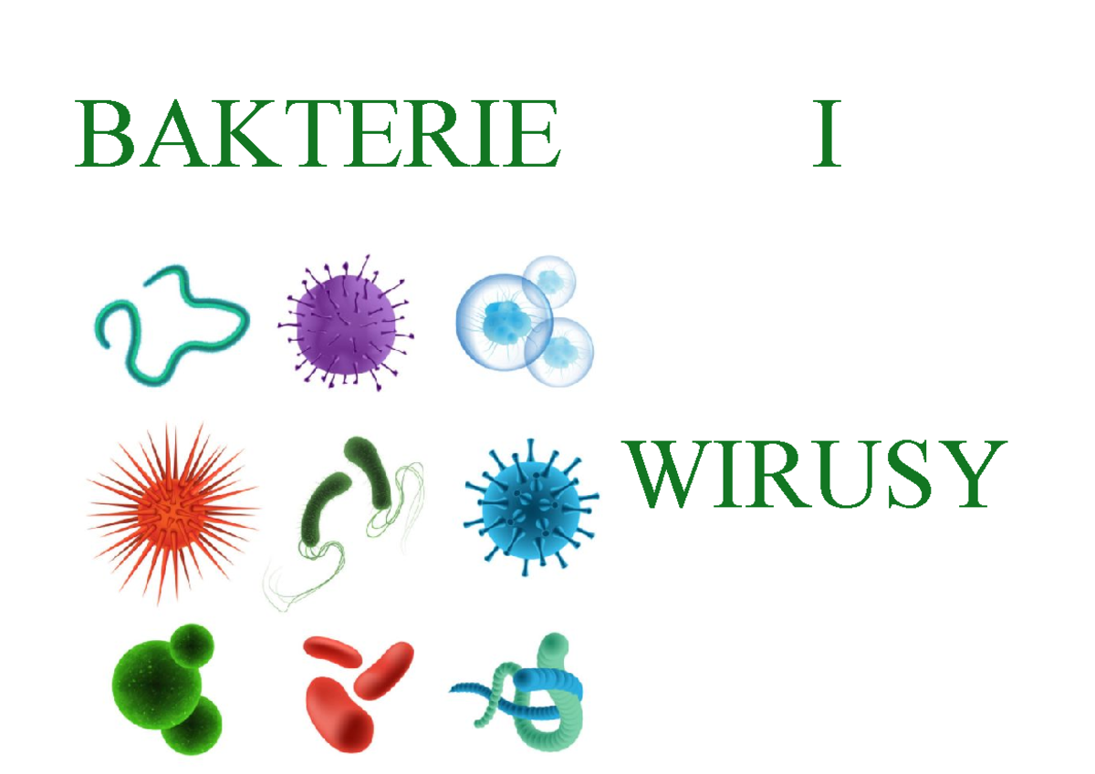 Bakterie i Wirusy: Przewodnik po Środowisku i Funkcjach – Biologia 101