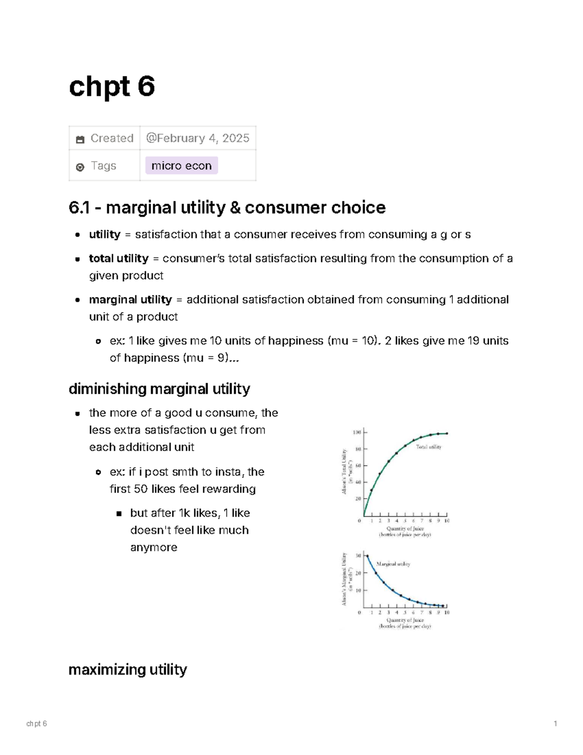 Chapter 6 Notes: Marginal Utility & Consumer Choice in Microeconomics ...