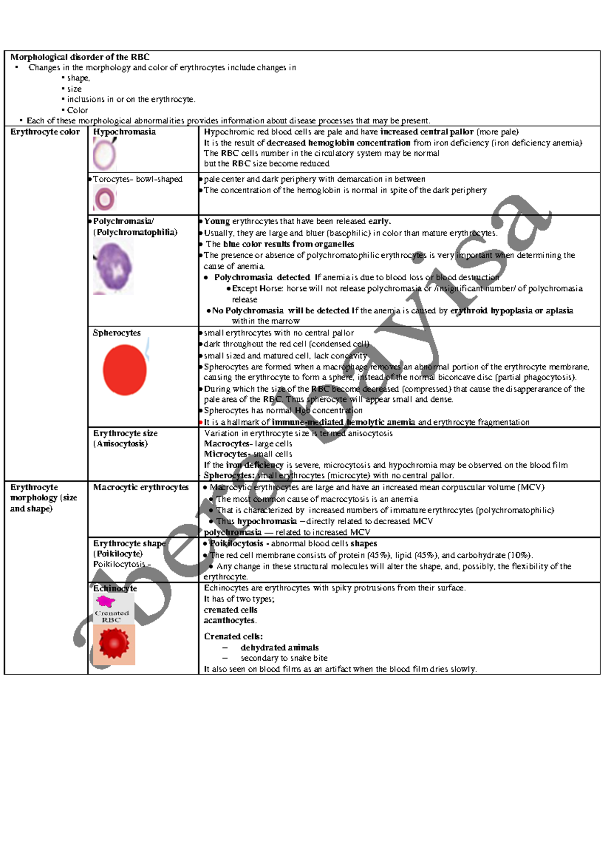 RBC Disorders: Morphological Abnormalities and Their Clinical ...